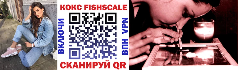 COCAIN Fish Scale  закладки  Дегтярск 