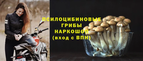 трава Верхнеуральск