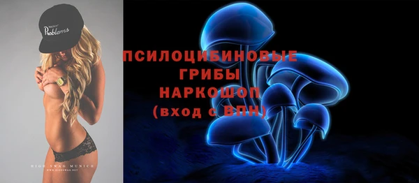 трава Верхнеуральск