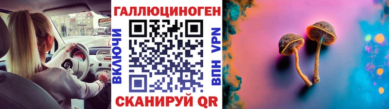 купить наркотики цена  Дегтярск  Псилоцибиновые грибы GOLDEN TEACHER 