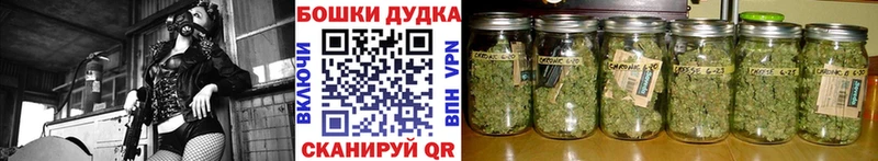 Бошки марихуана марихуана  Дегтярск 